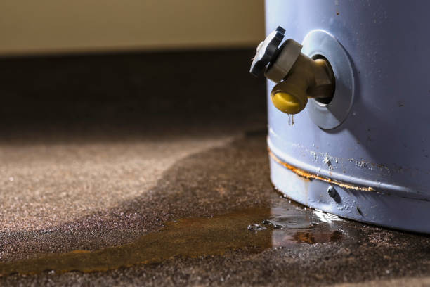 Best Flood damage cleanup  in Cumberland, WI