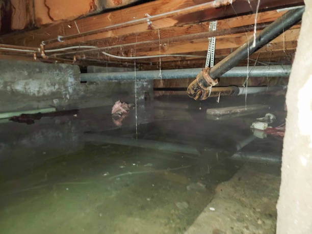Best Flood restoration services  in Cumberland, WI