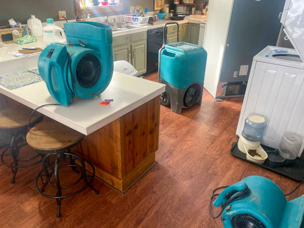 Best Commercial water damage restoration  in Cumberland, WI