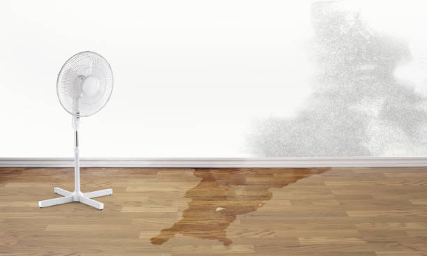 Best Residential water damage restoration  in Cumberland, WI