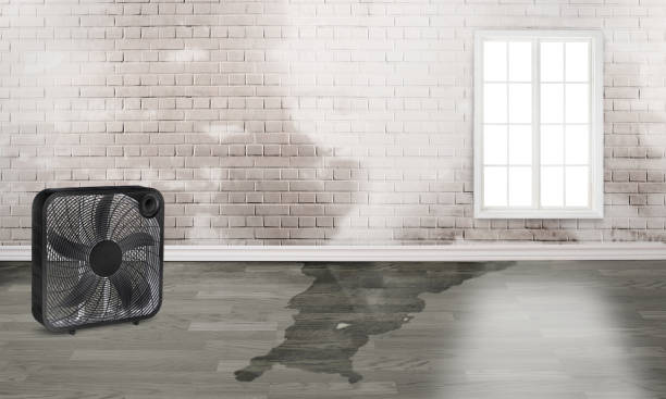 Best Local water damage restoration  in Cumberland, WI