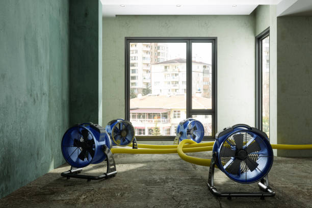 Best Carpet water damage restoration  in Cumberland, WI